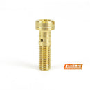 Valvola di Controllo Pompa di Ripresa Weber DGAS, DGAV, DCNF, DCN